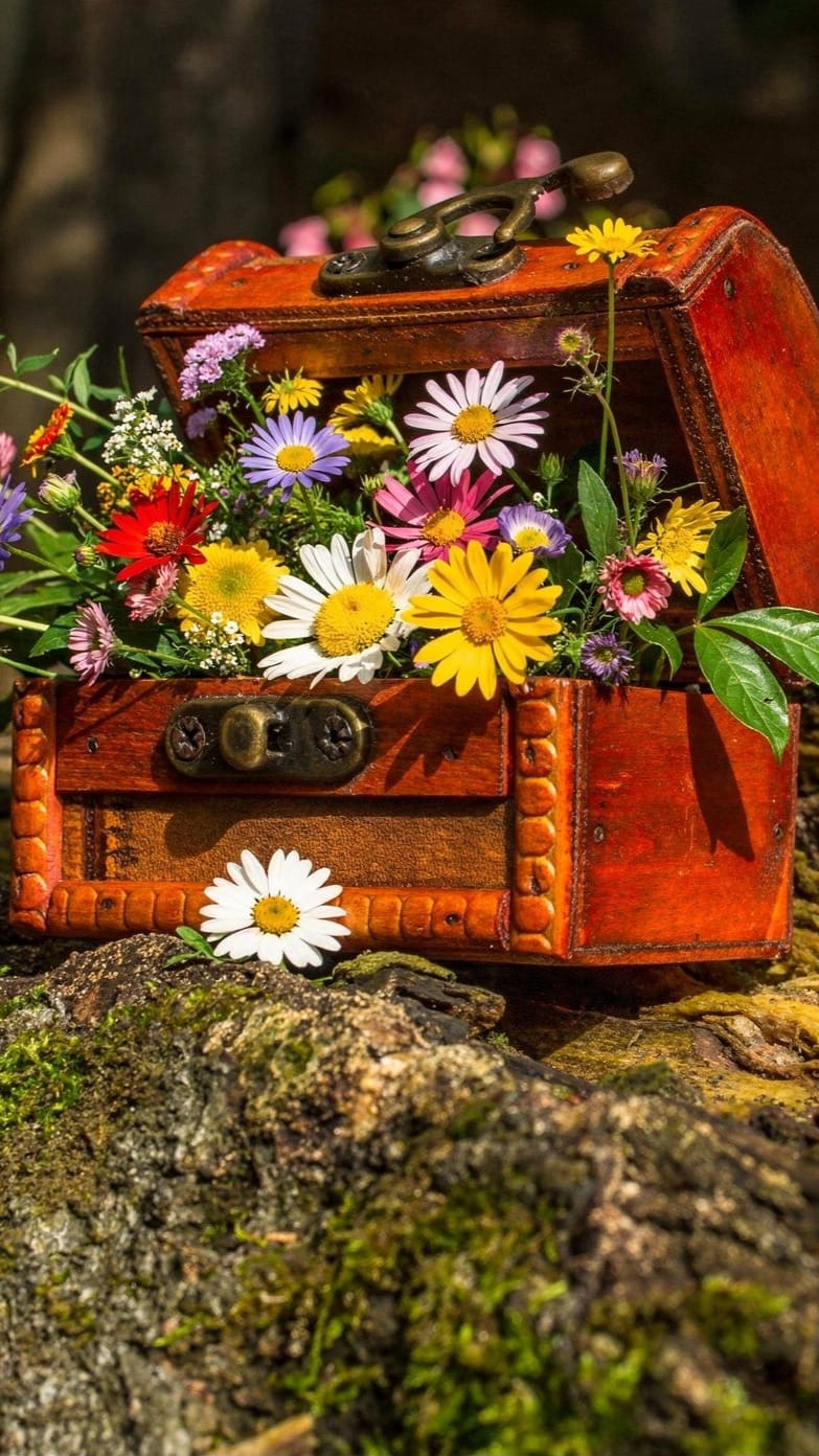 A Treasure from Nature